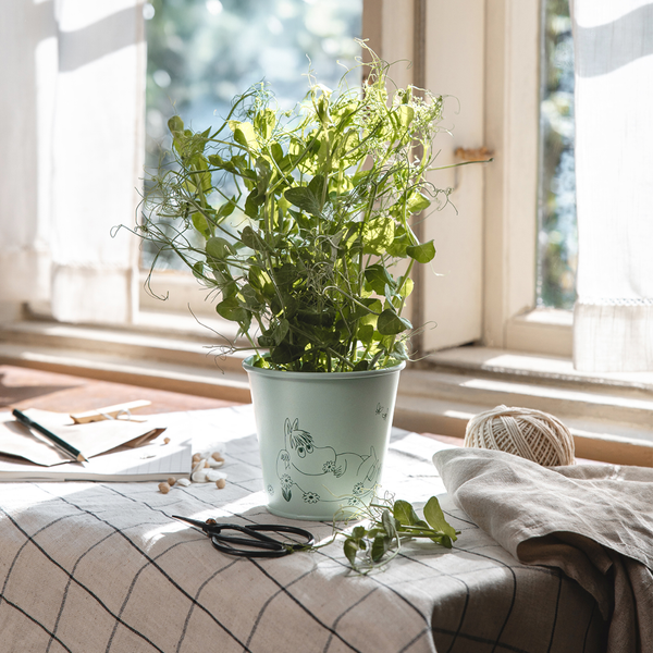 Muurla Muumi Kukkaruukku, Gardenia