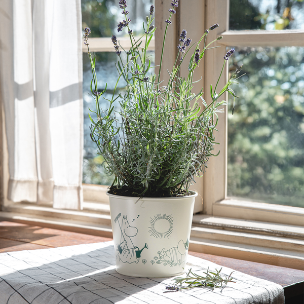 Muurla Muumi Kukkaruukku Gardenia, 16 cm