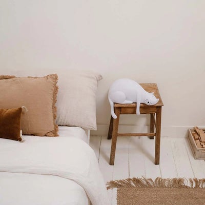 Rose In April Georges kissavalaisin, valkoinen