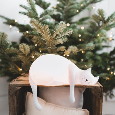 Rose In April Georges kissavalaisin, valkoinen