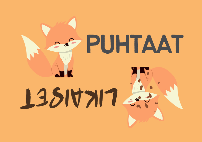 Astiapesukone magneetti Puhtaat/Likaiset, Kettu