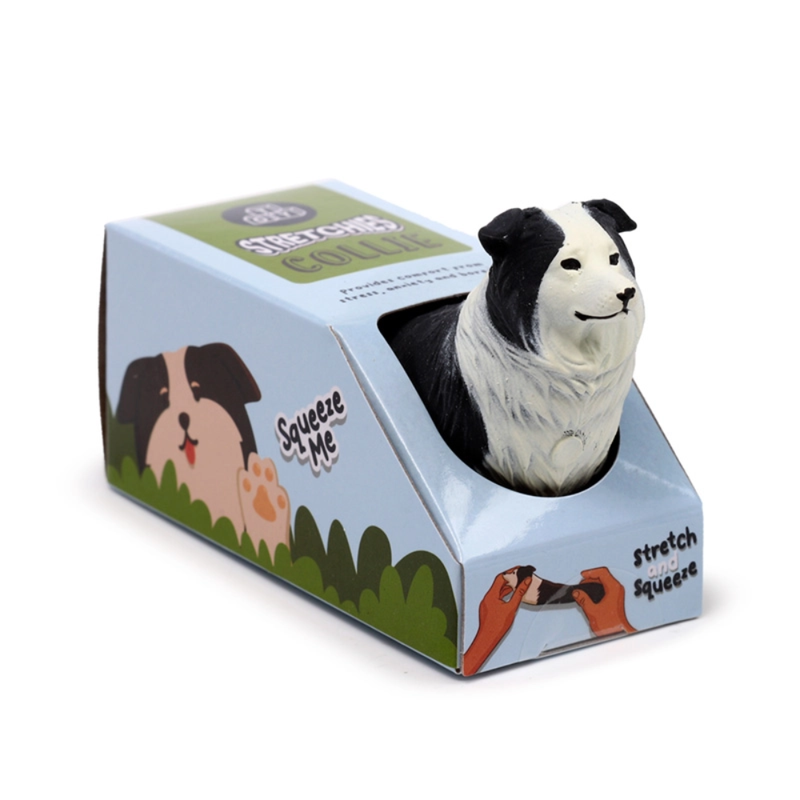 Venyv&auml; Collie-koiralelu